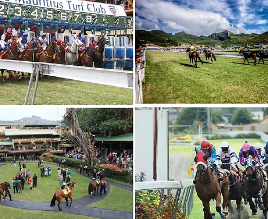 Horse Racing