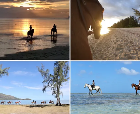 Horse Riding